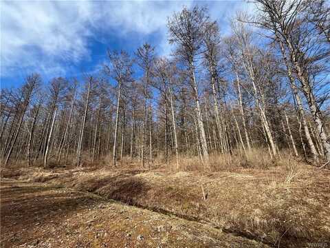 Lot 1 42 Degrees North, Ellicottville, NY 14731