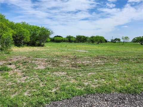 125 County Road 3053, Orange Grove, TX 78372