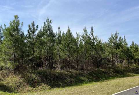 Lot 8 Whitfield Road, Elko, GA 31025