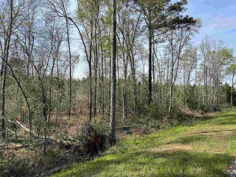 Lot 11 Old Vienna Road, Elko, GA 31025