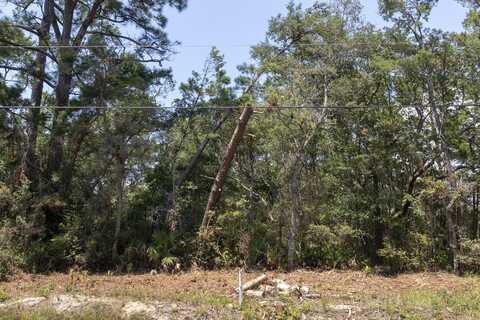 Lot 27 E Point Washington Road, Santa Rosa Beach, FL 32459