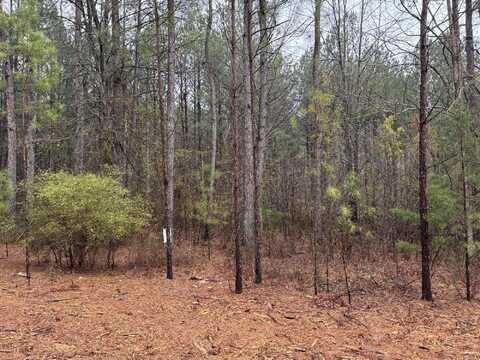 1094 LONGLEAF Way, Lincolnton, GA 30817