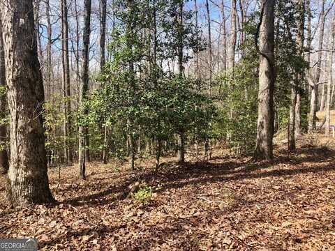 LOT 6 Twisting Ridge Trail, Demorest, GA 30535