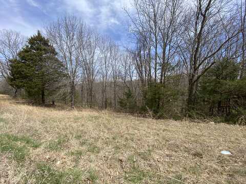 15.72 Acres Westgate Lane, Branson West, MO 65737