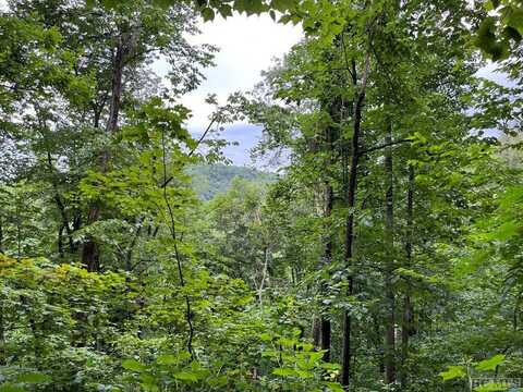 L 53 54 Pilot Mountain, Glenville, NC 28736