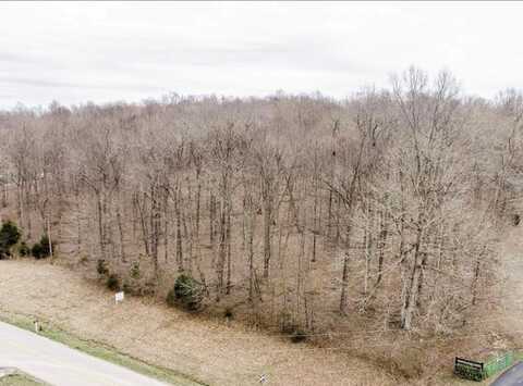 Lot 1 Clark Store Sinking Fork Rd, HOPKINSVILLE, KY 42240