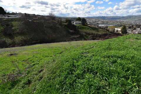 Bare Land Vineyard Dr, Lewiston, ID 83501