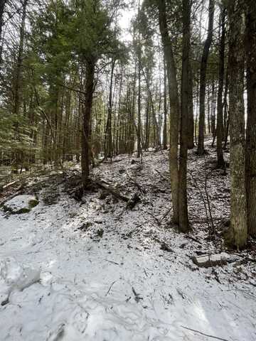 000 Hinkley Brook Road, Grafton, VT 05146