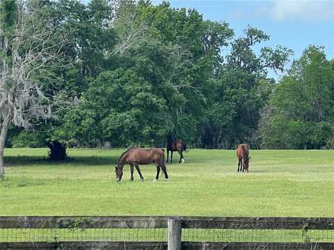 W 329 HIGHWAY, REDDICK, FL 32686