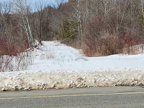 Lot 29/29- Libby Hill/Moosehead Road, Newport, ME 04953