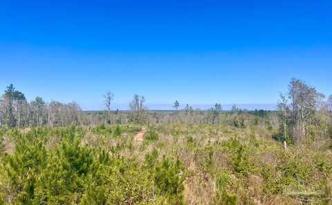 Lot 11-c Cotton Lake Rd, Molino, FL 32577