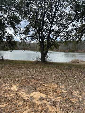 1 Burt Loop Road, Crystal Springs, MS 39059