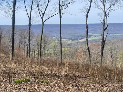 Lot 366 Volunteer St, Jasper, TN 37347