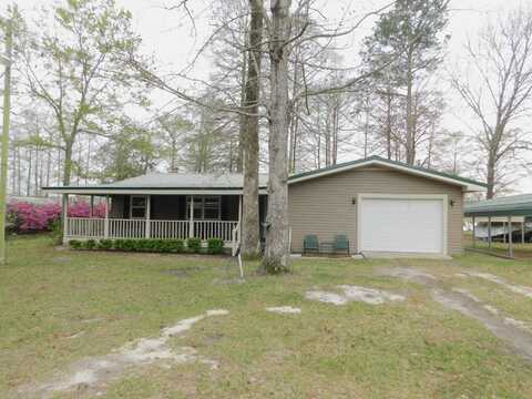 16626 GANTT LAKE RD, Dozier, AL 36028