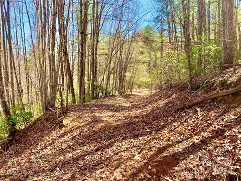 Lot 59,1483 Round Mountain Parkway, Lenoir, NC 28645