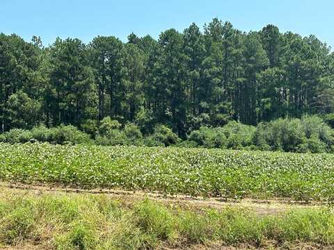 Lot 10, 2.3+-ac Hwy 53, Dothan, AL 36301