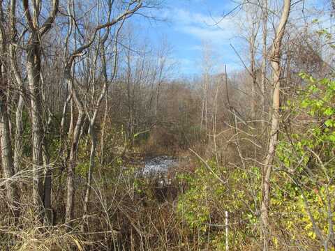 Marquette Woods Road, Stevensville, MI 49127