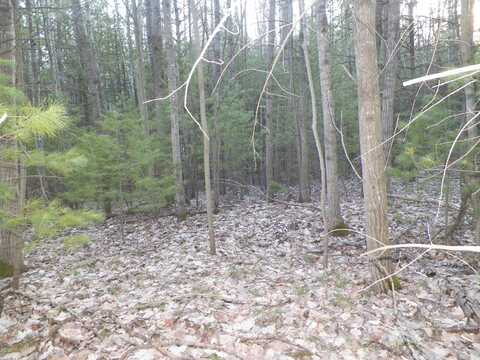 Lot #48 Bramblewood Dr., Cadillac, MI 49601