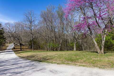 Lot 13&14 Ance Acres Lane, Reeds Spring, MO 65737