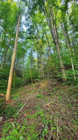 Lot 30c N Highland Drive, Gatlinburg, TN 37738