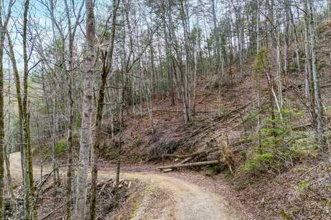 Lot 20 Meadow View Road, Sevierville, TN 37862