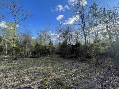 6.9 acres Hwy 125 S, Peel, AR 72668