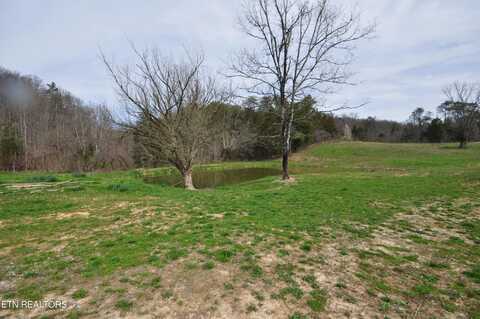 6.35 Acres Old Tazewell Pike, Luttrell, TN 37779