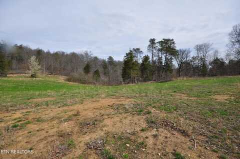 7.10 Acres Old Tazewell Pike, Luttrell, TN 37779