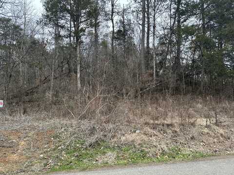 Lot 29 Lower English Creek Rd., Newport, TN 37821