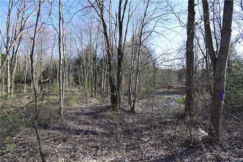 Dairy Road, Lower Towamensing Tp, PA 18071