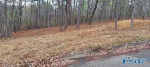 .68 Acres Mountain Brow Drive, Oxford, AL 36203