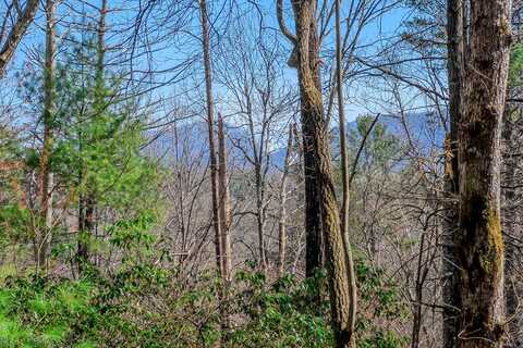 Lot 373 Atoka Ct, Ellijay, GA 30540