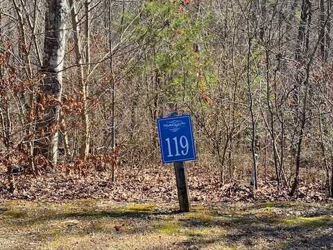 Lot 119 Tranquility @ Carters Lake, Ellijay, GA 30540