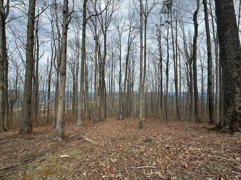 Lot 21 Rocky Knob Estates, Young Harris, GA 30582