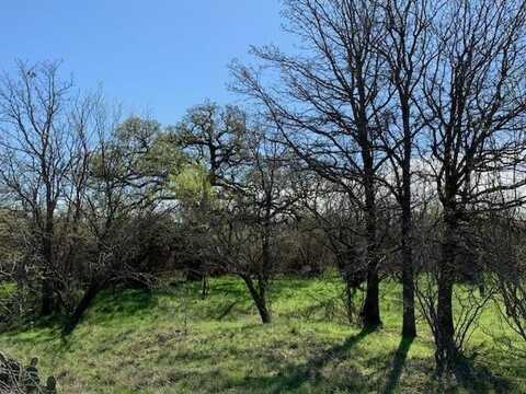 4400 Burwick Road, Jacksboro, TX 76458