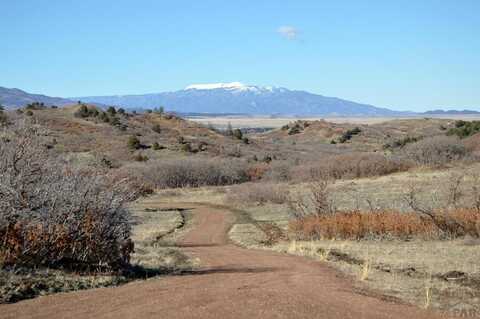 TBD Spanish Peaks Tr, La Veta, CO 81055