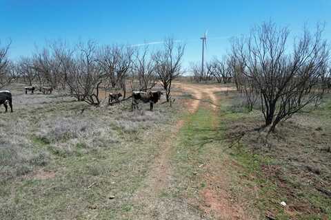 FM 1609, Snyder, TX 79549