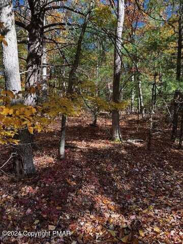 Lot 34 POCONO FORESTED Drive, East Stroudsburg, PA 18302
