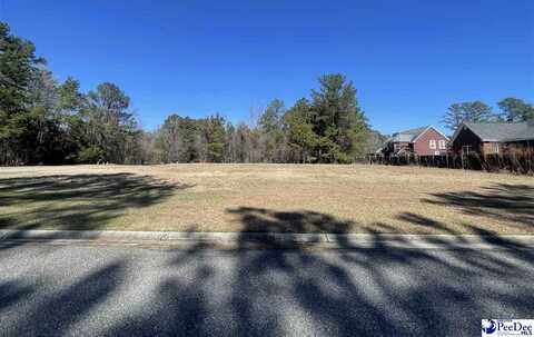 1880 Walter Dr, Florence, SC 29505