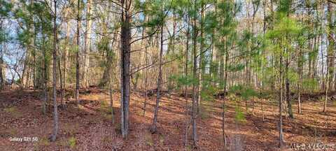 LOT 67 Lake Pointe Drive, Roanoke Rapids, NC 27870