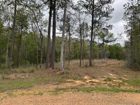 1085 Hillcrest Farms Lane, Summit, MS 39666