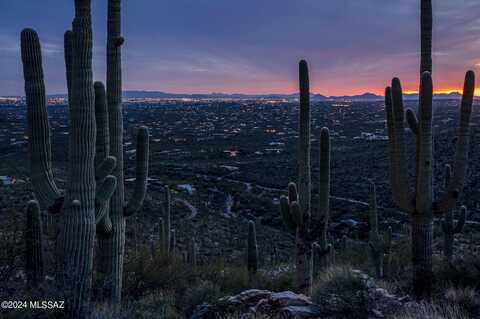 12969 E Cabeza De Vaca, Tucson, AZ 85749