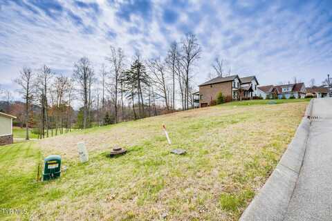 382 Golf Ridge Drive, Kingsport, TN 37664