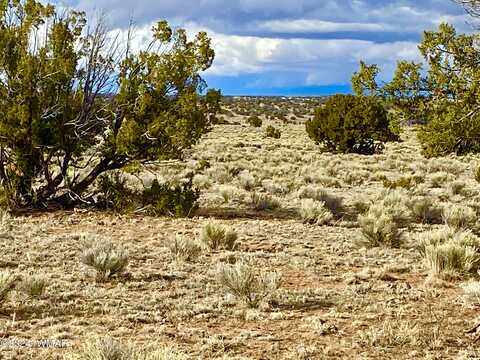 TBD N6655 40.45 Acres, Saint Johns, AZ 85936