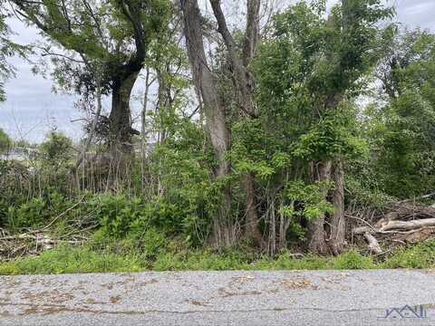 Lot 12 E 134th Street, Galliano, LA 70354