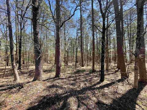 000 Cedar Valley Road, Fairfield Bay, AR 72088