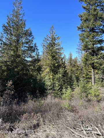 NNA Blacktail Rd, Cocolalla, ID 83813