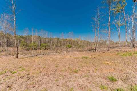 Spann Road, Batesburg, SC 29006