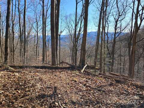 9999 Off Hurricane Ridge Trace, Clyde, NC 28721