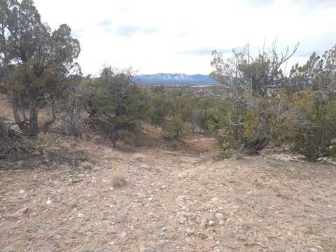 Tract 4 Bridle Path Loop, Mountainair, NM 87036